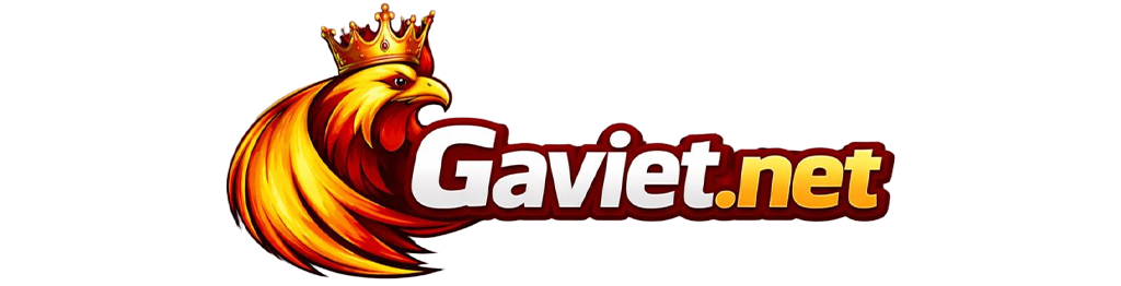 Gaviet.net – Trang Đá Gà Thomo Uy Tín Khu Vực Châu Á 2025